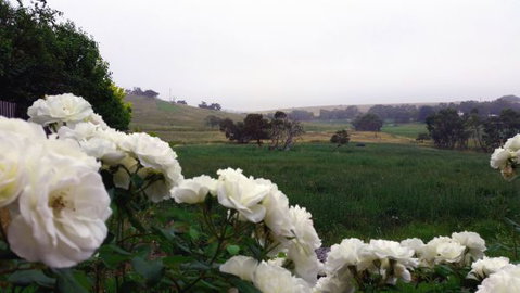 A Way To Relax At Welcome Springs Country Stays - eAccommodation 8